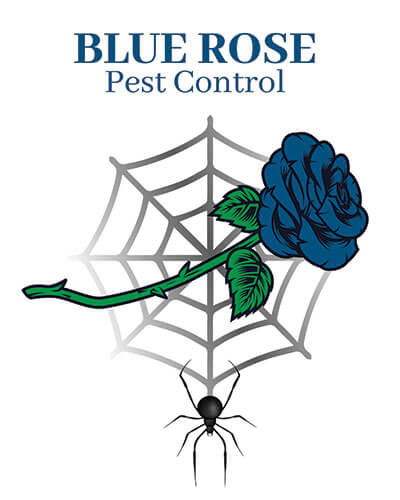 Blue Rose Pest Control Logo